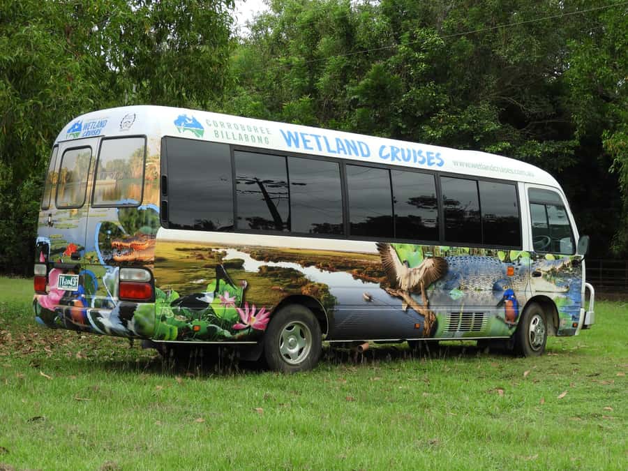 Darwin: Mary River Wetlands Wildlife Cruise with Lunch - Why the Mary River Wetlands cruise is the main event
