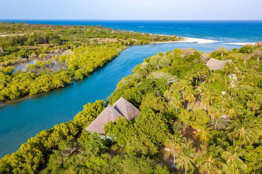 Diani Beach: Sunset Dhow Cruise with Dinner - Setting off from Estuary Beach Restaurant