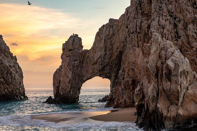 Dinner Cruise Tour in Cabo San Lucas with Tequila Tasting - Dinner, drinks, and the party atmosphere