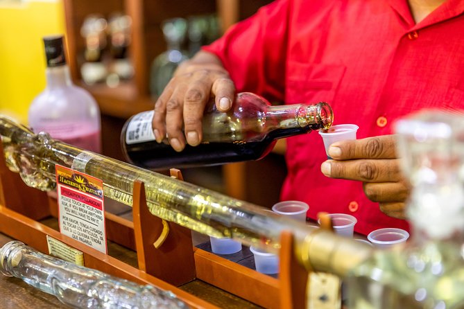 Dinner Cruise Tour in Cabo San Lucas with Tequila Tasting - Who should book it, and who should skip it?