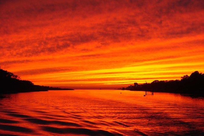 Dinner Cruise with Dolphin Watching from Cape May - Key points at a glance