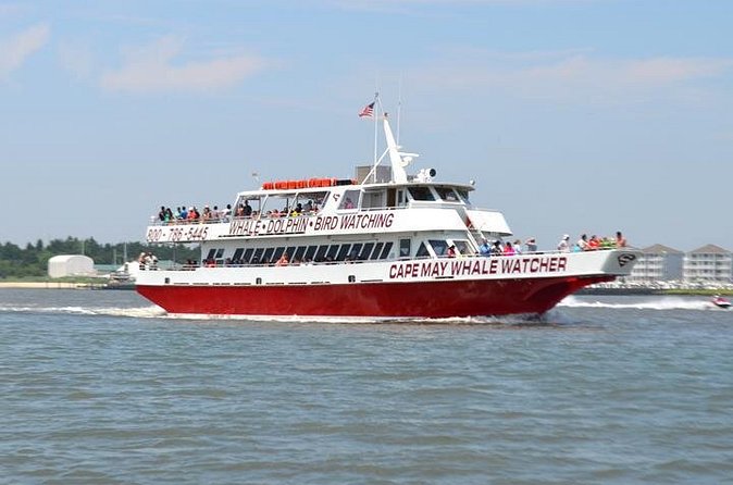 Dinner Cruise with Dolphin Watching from Cape May - The 1,000-acre nature preserve