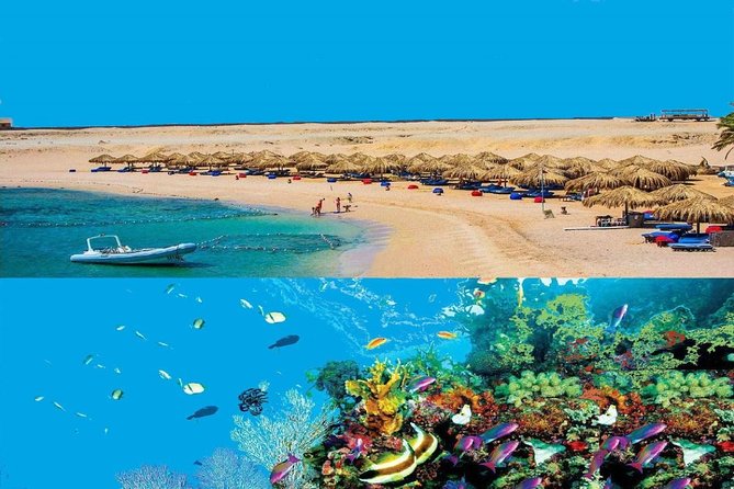 Dolphin House Snorkeling Day Cruise with Lunch from Hurghada - Key points before you book