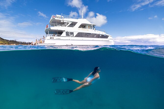 Dolphin & Tangalooma Wrecks Snorkel Cruise & Lunch - Brisbane - The Tangalooma Wrecks are the real reason to go