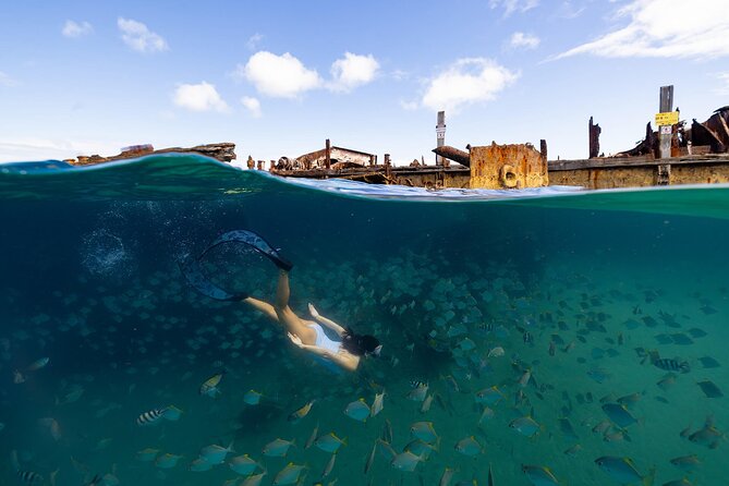 Dolphin & Tangalooma Wrecks Snorkel Cruise & Lunch - Brisbane - Who will enjoy this day most?