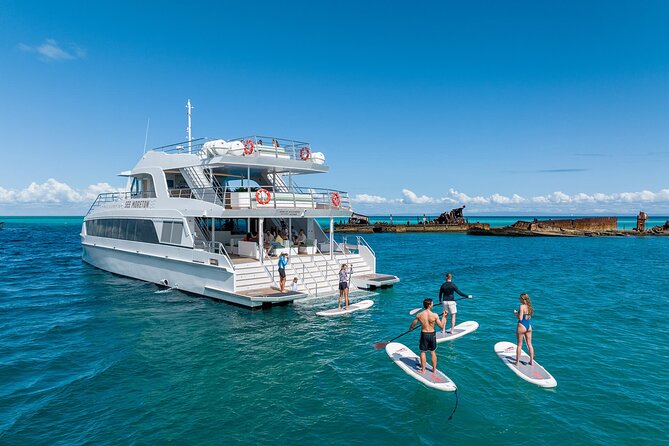 Dolphin & Tangalooma Wrecks Snorkel Cruise & Lunch - Brisbane - Snorkeling around protected wrecks