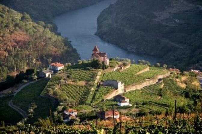 Douro Valley and Régua Panoramic Cruise with Lunch from Porto - Key points to know before booking