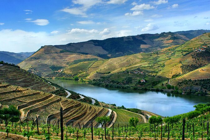 Douro Valley and Régua Panoramic Cruise with Lunch from Porto - Passing through Carrapatelo Dam