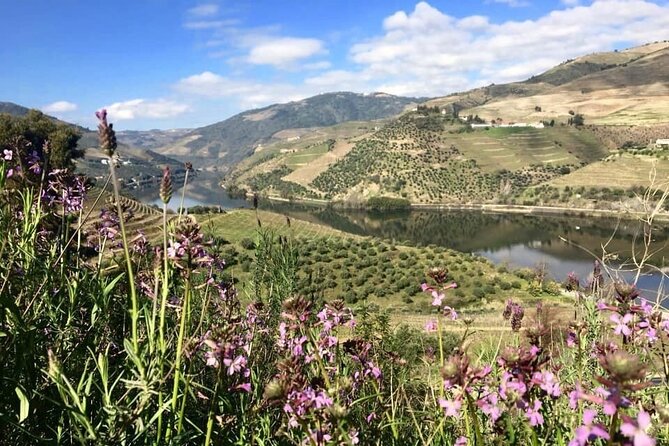 Douro Valley and Régua Panoramic Cruise with Lunch from Porto - Crestuma-Lever and the approach to Porto