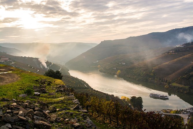 Douro Valley and Régua Panoramic Cruise with Lunch from Porto - What lunch and drinks are really like