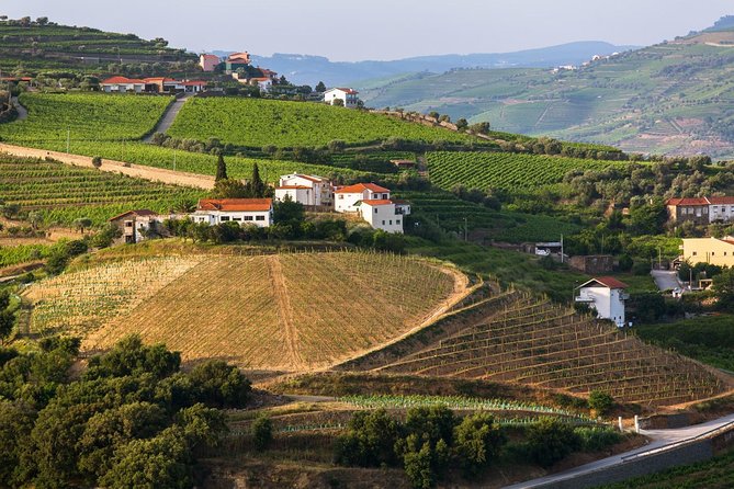 Douro Valley Tour: Wine Tasting, Cruise and Lunch from Porto - Seeing the Douro from the river