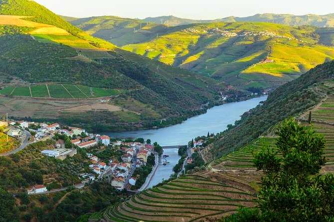 Douro Valley Tour: Wine Tasting, Cruise and Lunch from Porto - Guides, drivers, and the group atmosphere