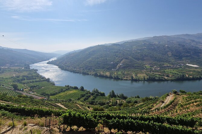 Douro Valley Tour: Wine Tasting River Cruise and Lunch from Porto - Why this Douro Valley day trip works
