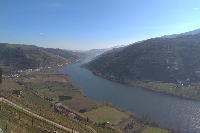 Douro Valley Tour: Wine Tasting River Cruise and Lunch from Porto - What the wine farm visit is really like