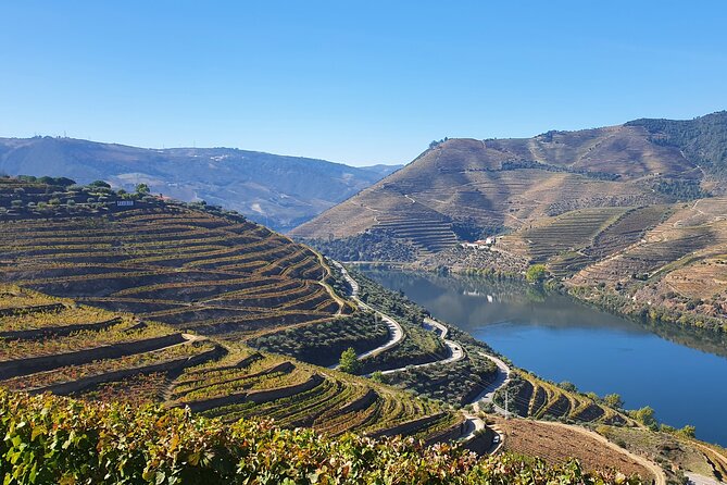 Douro Valley Tour: Wine Tasting River Cruise and Lunch from Porto - The Barco Rebelo cruise