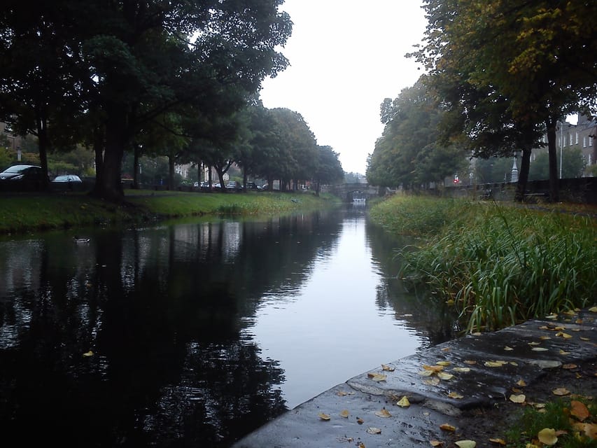 Dublin: Grand Canal Cruise with Dinner - The Food and Service