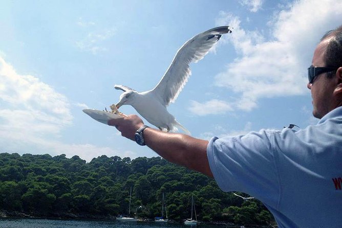 Dubrovnik Elafiti Islands Cruise with Lunch, Drinks and Pickup - Lunch on the boat, with drinks throughout the day