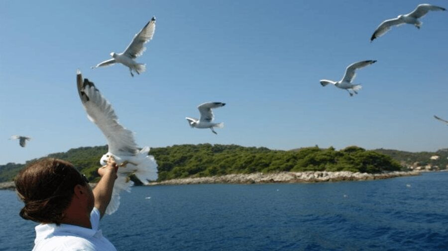 Dubrovnik: Elaphiti Islands Boat Cruise with Lunch & Drinks - Lopud and Šunj Beach: the day’s main stop