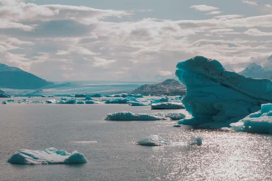 El Calafate: Gourmet Navigation Upsala & Spegazzini Glaciers - Upsala Channel and the icebergs