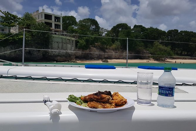 Elegance Catamaran turtles swim and lunch cruise - The west coast cruise and lunch bay