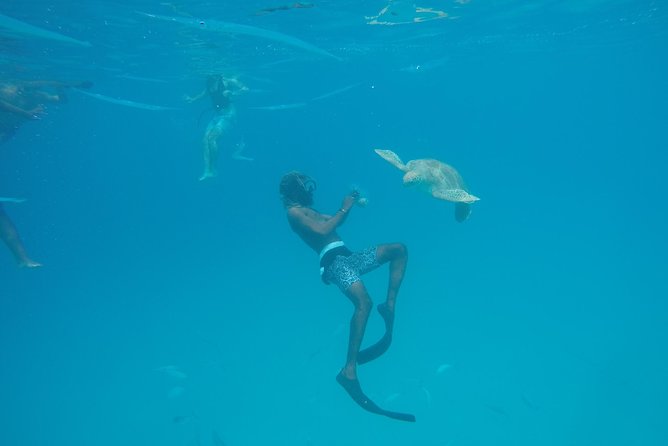 Elegance Catamaran turtles swim and lunch cruise - Why the 12-person limit matters