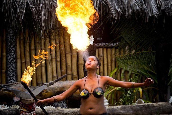 Fiji Cultural Full Day Island Cruise With Lunch & Transfers - What the $115.30 price really covers