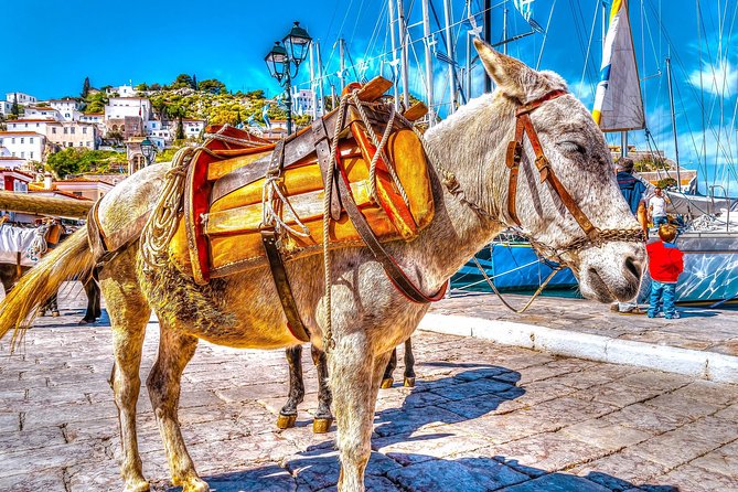 From Athens: Hydra, Poros, and Aegina Day Cruise with Lunch - What this Athens island cruise is really like