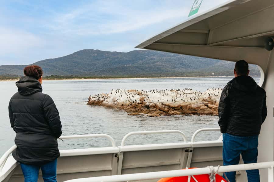 From Coles Bay: Wineglass Bay Cruise with Lunch - Wildlife watching without a guarantee