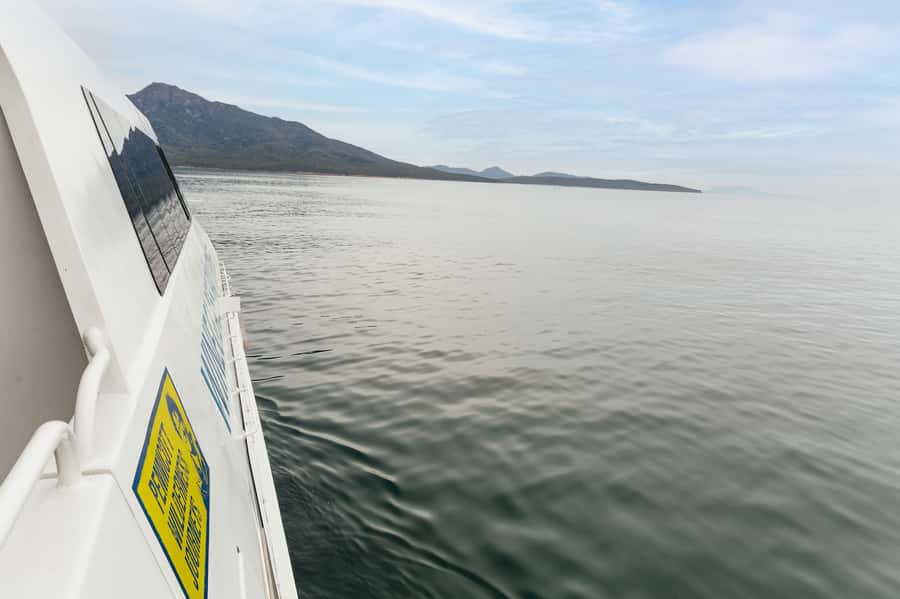 From Coles Bay: Wineglass Bay Cruise with Lunch - Weather can change the plan