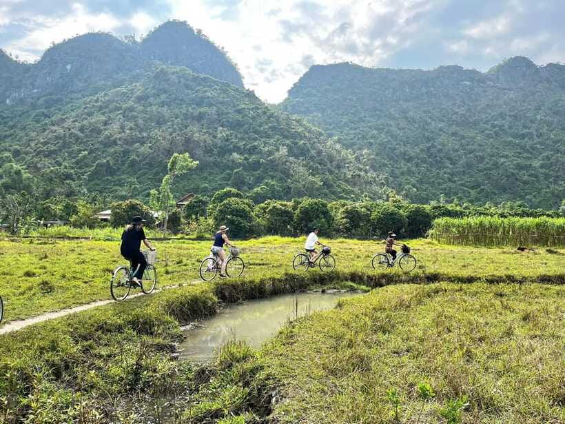 From Hanoi/Cat Ba: Lan Ha Bay Day Trip with Cruise and Lunch - Who should book this Lan Ha Bay day trip?