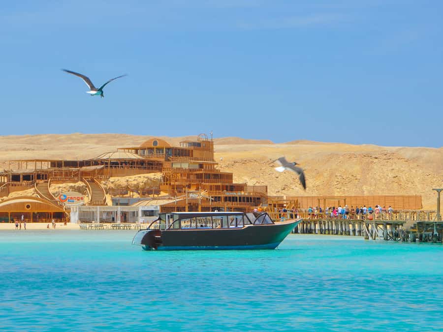 From Hurghada: Giftun Island Cruise with Lunch & Watersports - Practical Tips for a Smoother Day