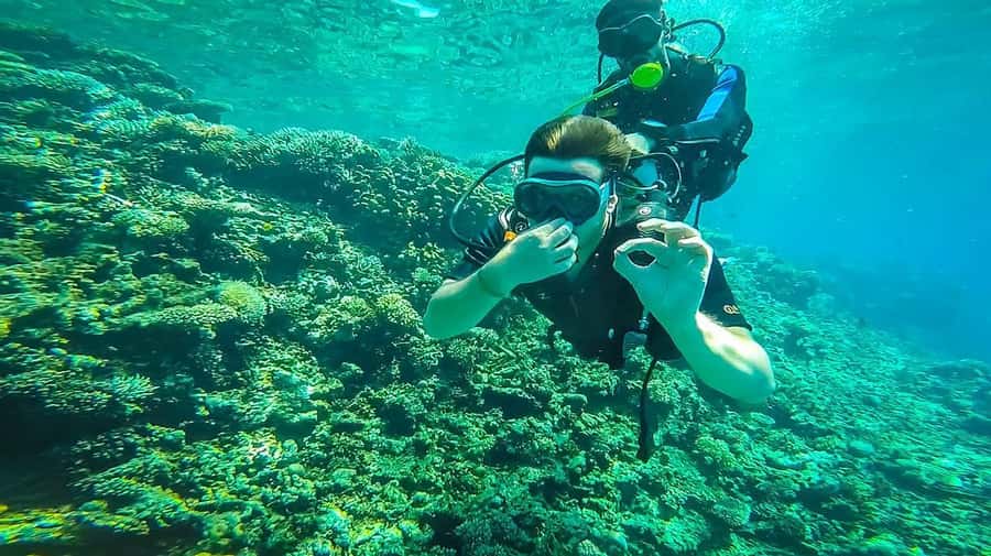 From Hurghada: Orange bay Snorkeling Cruise with Lunch - Key points to know before booking