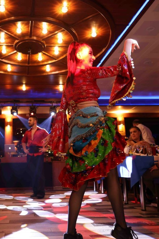 From Istanbul: Bosphorus Dinner Cruise Tavern & World Show - Languages and family planning