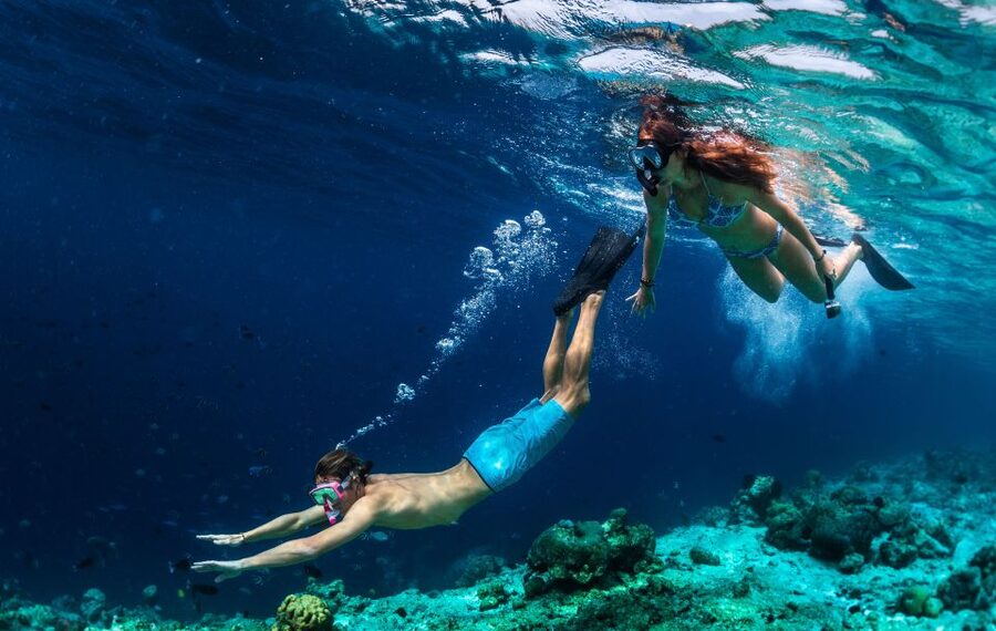 From Nidri: Marine Wildlife Cruise with Lunch and Swim Stops - Meganisi and the stop in Vathy