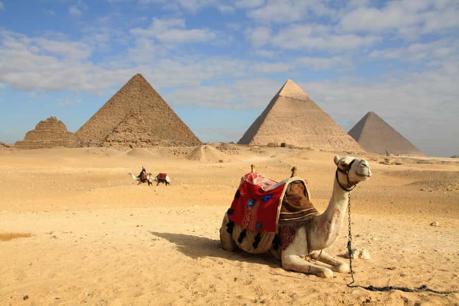 From Port said: Pyramids, Lunch Cruise, & Papyrus Institute - What the private format changes