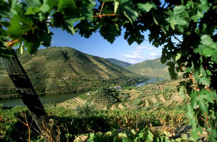 From Porto: Régua to Porto River Cruise with Lunch on Board - Why the Régua to Porto route works so well