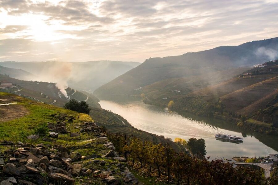 From Porto: Régua to Porto River Cruise with Lunch on Board - Six hours on the Douro River