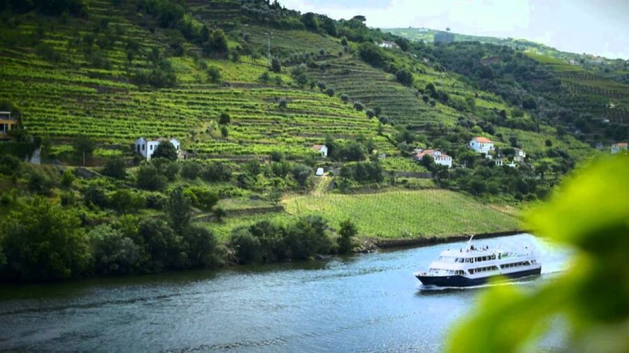 From Porto: Régua to Porto River Cruise with Lunch on Board - The Carrapatelo and Crestuma-Lever dams