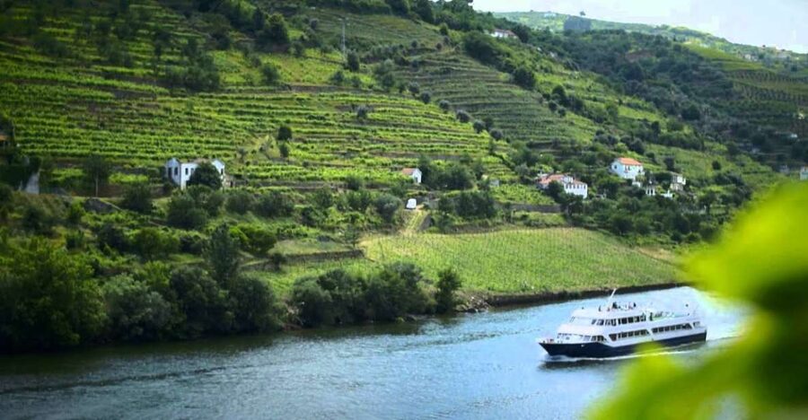 From Porto: Régua to Porto River Cruise with Lunch on Board - Guide quality and the amount of commentary