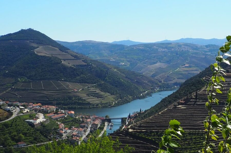 From Porto: Small-Group Douro Valley Wine Tour Lunch & Boat - Practical details that affect your day