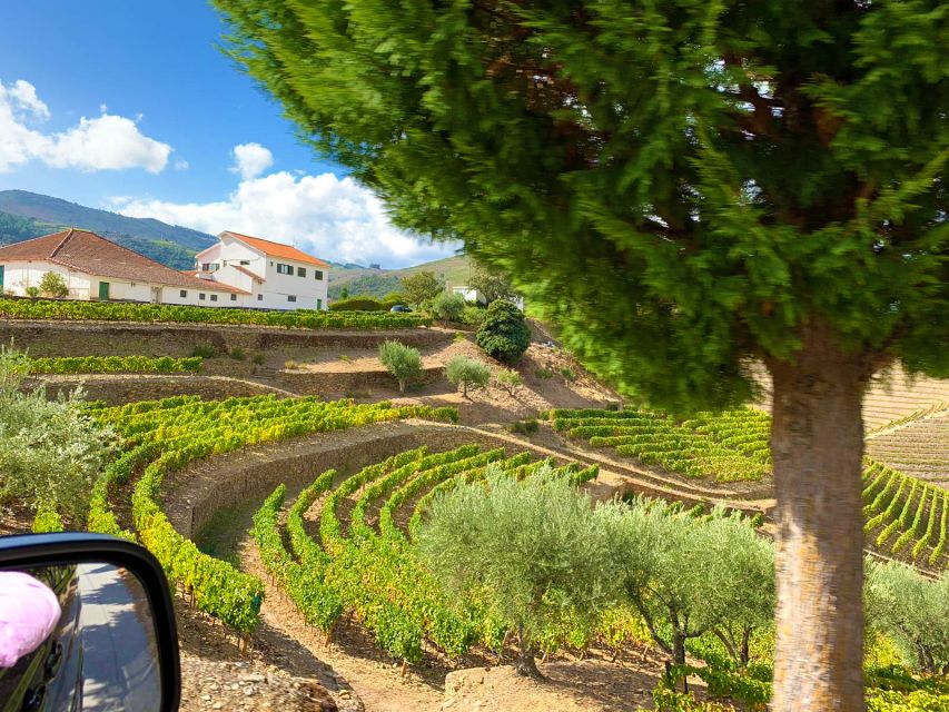 From Porto: Small-Group Douro Valley Wine Tour Lunch & Boat - Who will enjoy this day most