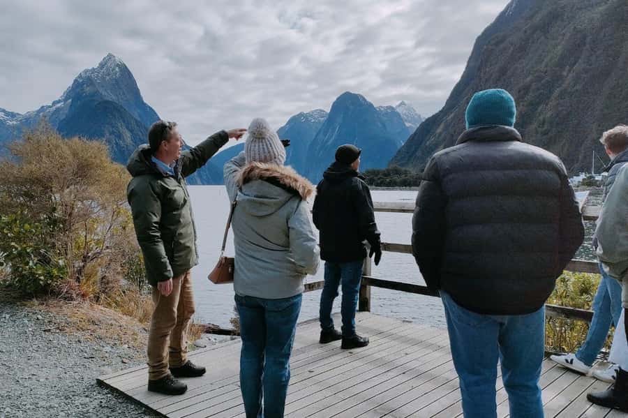 From Queenstown: Milford Sound Flight and Cruise with Lunch - Wildlife, waterfalls, and realistic expectations
