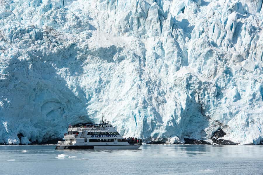 From Seward: Kenai Fjords National Park Cruise with Lunch - Why the 7.5-hour route earns its place