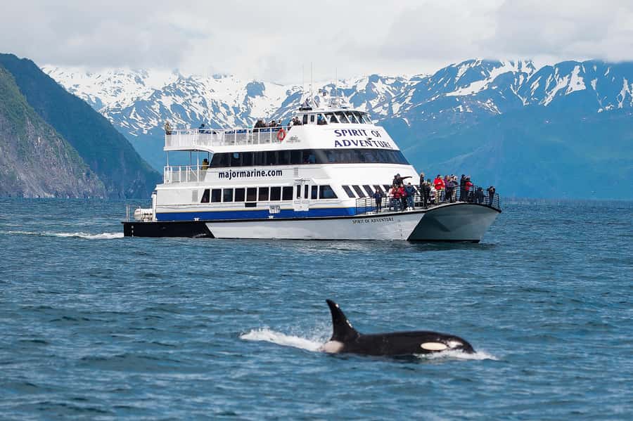 From Seward: Kenai Fjords National Park Cruise with Lunch - Resurrection Bay gives you an easy start