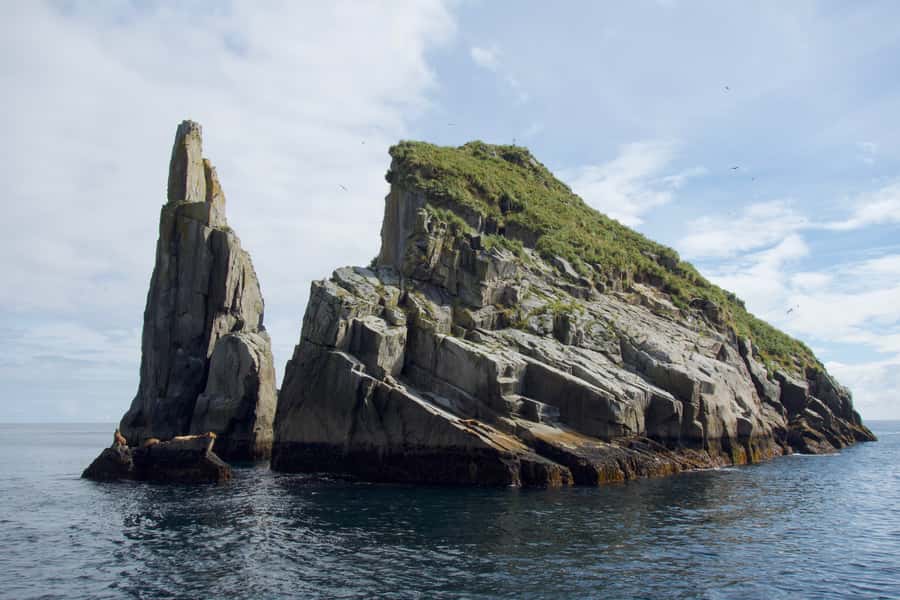 From Seward: Kenai Fjords National Park Cruise with Lunch - Starting in Seward at Harbor 360 Hotel