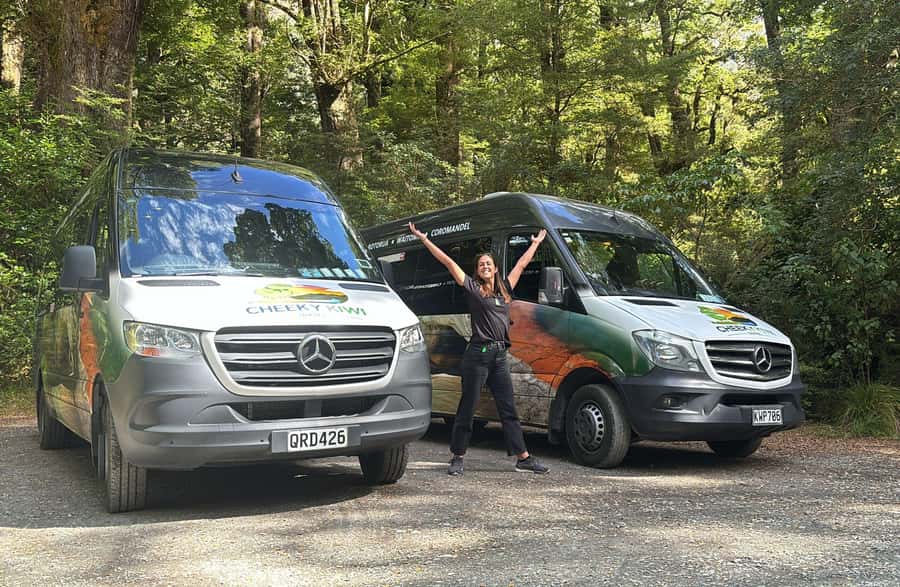 From Te Anau: Milford Sound Small-Group Tour Including Lunch - The Chasm, Pop’s View, and the ride home