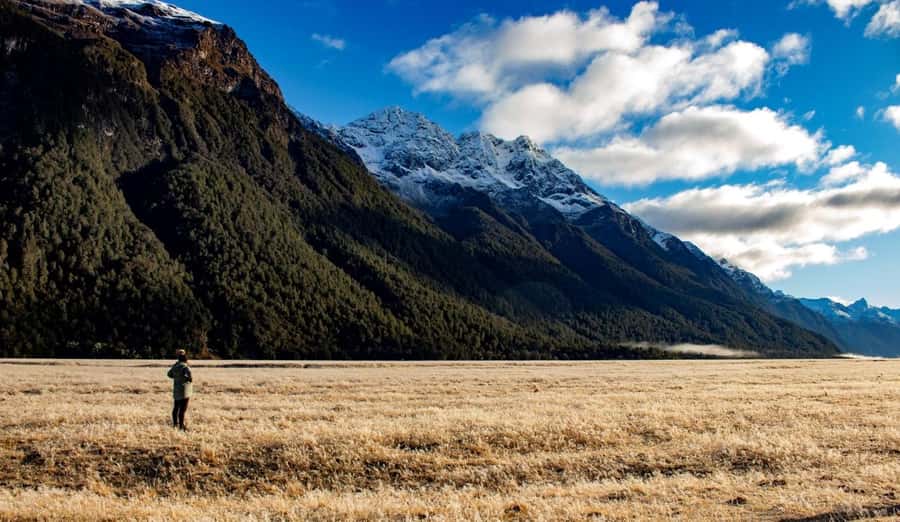 From Te Anau: Milford Sound Small-Group Tour Including Lunch - What the $178 price gets you