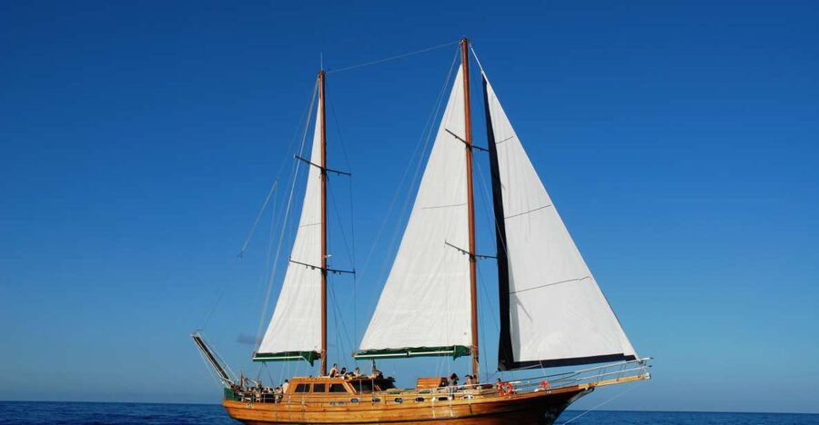 Fuerteventura: Exclusive Turkish Gulet Cruise with Lunch - Key points to know before booking