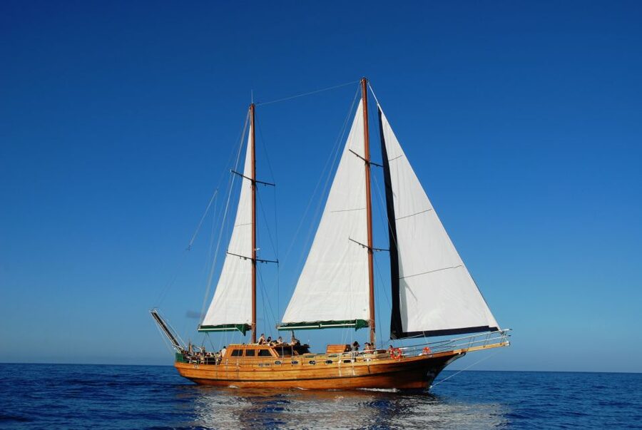 Fuerteventura: Exclusive Turkish Gulet Cruise with Lunch - Setting out from Morro Jable on the Aphrodite