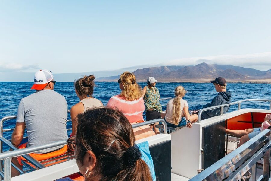 Fuerteventura: Glass Bottom Boat Cruise with Lunch & Drinks - Should you book this Fuerteventura boat trip?
